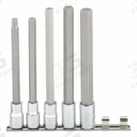 SK PROFESSIONAL TOOLS Socket Bit Set: 1 - 25 Pieces, 1/2 in Drive Size, 5 Pieces, Replaceable Insert (MPN 41455). Key specifications — attr1216280: Replaceable Insert; attr1216283: SK PROFESSIONAL TOOLS; attr1225718: 8 mm to 17 mm; attr1227491: 1/2 in.