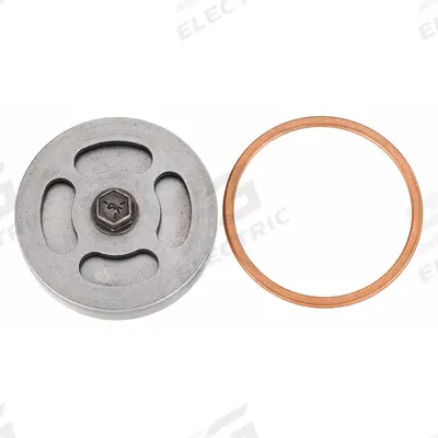 CHAMPION Assembly,Lp Intake Valve: Z812 - Air Compressor Parts