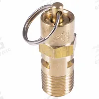 SPEEDAIRE Air Tank Relief Valve: Air, Brass, 1/8 in NPT, 220 psi Max. Pressure (MPN J0020420037). Key specifications — attr291949: 1/8 in NPT; attr291957: Brass; attr294749: SPEEDAIRE.