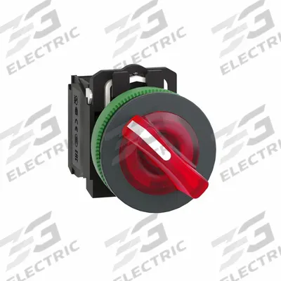 SCHNEIDER Selector Switch: 30 mm Panel Mounting Size, 2 Positions, Short Lever - Illuminated Selector Switches
