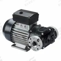 PIUSI Electric Drum Pump: 30 gpm Max. Flow Rate, 110/120 V AC, Pump Only, CE, 120V AC (MPN F0032701B). Key specifications — Brand: PIUSI; Rated Voltage: 110/120 V AC; Discharge Hose Size: Not Included; Nozzle Type: Not Included.
