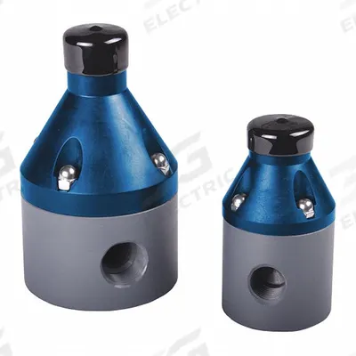 HAYWARD Pressure Reducing Control Valve: PVDF, PTFE, NPT x NPT - Corrosive & Ultra-Pure Liquids Pressure Regulators