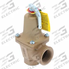 WATTS Boiler Pressure Relief Valve: FNPTF x FNPTF, 3/4 in x 1 in, Iron, 20 psi Max. Op Pressure (MPN F382008). Key specifications — Brand: WATTS.