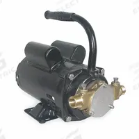 DAYTON Utility Pump: 115/230V AC, 76 ft Max head, 1/2 in FNPT / 3/4 in MGHT, Buna-N, Self-Priming (MPN 3ABZ4). Key specifications — Nameplate Voltage: 115/230V AC; Impeller Material: Buna-N; Brand: DAYTON.