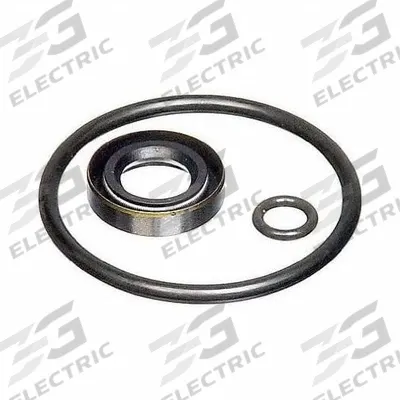 FLUKE Seal Kit: Seal Kit, Seal Kits, Seal Kits, P5515SK-V, Seal Kit