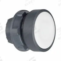 SCHNEIDER Flush Push Button: 22 mm Mounting Size, Non-Metallic, Momentary (MPN ZB5AW31). Key specifications — Brand: SCHNEIDER; Action: Momentary; Series: XB5; Push Button Material Type: Non-Metallic.
