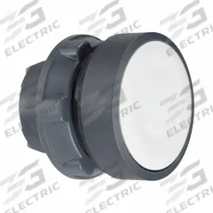 SCHNEIDER Flush Push Button: 22 mm Mounting Size, Non-Metallic, Momentary (MPN ZB5AW31). Key specifications — Brand: SCHNEIDER; Action: Momentary; Series: XB5; Push Button Material Type: Non-Metallic.
