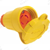 PASS & SEYMOUR Locking Connector: Non-NEMA, Yellow, 120/208V AC, 30 A Current Rating, 3 Poles (MPN 29W09AM). Key specifications — Brand: PASS & SEYMOUR.
