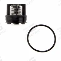 WATTS Backflow Preventer Repair Kits: Second Check Kit, 429J26/793HH1/812MY5/818DE7, 007M3, RK-007 (MPN RK 007M3-CK2-3/4). Key specifications — Compatible Valve Size: 3/4 in; Compatible with Grainger Part No.: 818DE7; Compatible with Series: RK-007; Compatible with Mfr. Model No.: 007M3; Includes: Spring.