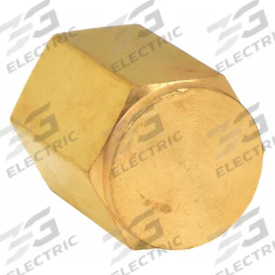 PARKER Cap: Cored Cap, Bright C36000 Brass, 1/4 in, NPT Threaded, 4,300 psi - Threaded Extreme-Pressure Instrumentation Pipe Fittings