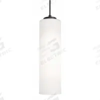 AFX INC. Decorative Pendant: 4 in Dia, 12 in Ht, Black, 60 W, 120V AC (MPN LEOP0412MBBK). Key specifications — Voltage: 120V AC; Brand: AFX INC.; Dimmable: No; Housing Finish/Color: Black.