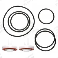 WATTS Double Check Valve Repair Kit: Double Check Valve Repair Kit, 3/4-1 007/LF007, Repair Kit, 007 (MPN 007-3/4 - 1 Rubber Kit). Key specifications — Compatible Valve Size: 3/4 in to 1 in; Compatible with Series: 007; Compatible with Mfr. Model No.: 3/4-1 007/LF007; Includes: Cover O-Ring.