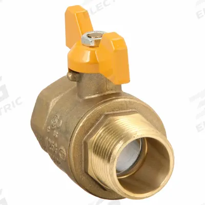 APPROVED VENDOR Manual Two-Way Ball Valve: 1 in, Brass, Straight, MNPT x FNPT - Brass Ball Valves