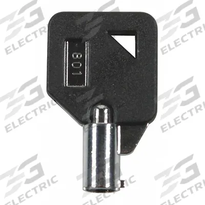 SAFETY TECHNOLOGY INTERNATIONAL Key: Nickel, 1 1/4 in Overall Lg, KIT-H18075 - Keys for Alarm & Wall Fixture Covers