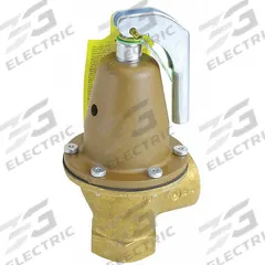 WATTS Pressure Relief Valve: FNPTF x FNPTF, 1 1/4 in x 1 1/4 in, Copper Silicon Alloy (MPN 0121514). Key specifications — Brand: WATTS.