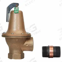 WATTS Relief Valve: FNPTF x FNPTF, 1 1/4 in x 1 1/4 in, Bronze, 150 psi Max. Op Pressure (MPN 1-1/4 174A 125 FS). Key specifications — Brand: WATTS.