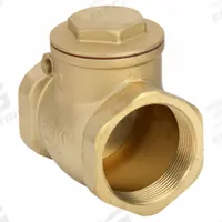 APPROVED VENDOR Swing Check Valve: Swing, Inline Valve Body, 2 in Pipe Size, FNPT x FNPT, Brass, Std (MPN 6VDT8). Key specifications — Brand: APPROVED VENDOR.