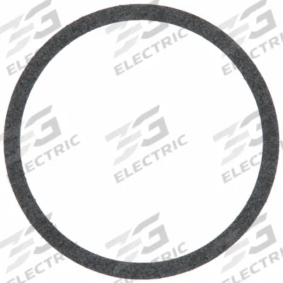 ARMSTRONG Gasket: for In-Line Circulating Pumps, Mfr Part # 106049-000 - Body & Casing Gaskets