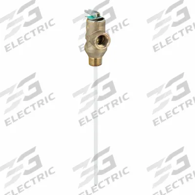 Watts Temperature and Pressure Relief Valve: MNPT x FNPT - Non-Code Temperature & Pressure Relief Valves