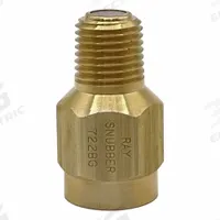 RAY Pressure Gauge Snubber: Brass, Filter, Brass NPT, 5,000 psi Max. Pressure, 0 Pistons, Air/Gases (MPN 722BG). Key specifications — Snubber Type: Filter; Connection Type: NPT; Brand: RAY; Material: Brass; Compatible Liquids and Gases: Gases.
