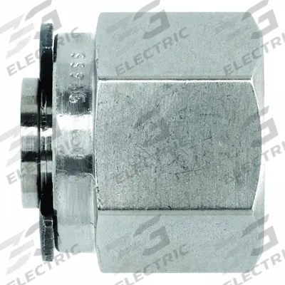 BRENNAN INDUSTRIES Compression Fitting Plug: 1/4 in OD Fitting Size, Compression - Clean & Bagged Single-Ferrule Stainless Steel Fittings