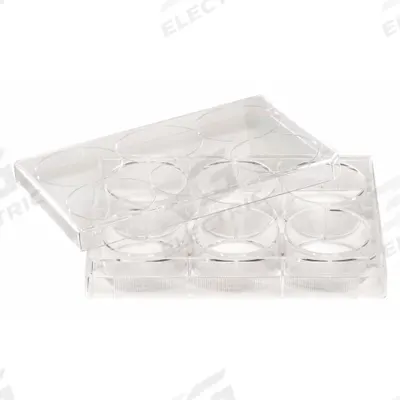 APPROVED VENDOR Tissue Culture Well Plate: Sterile, 12 Wells, 1.14 mL, 128 mm Dia - Cell Culture Plates