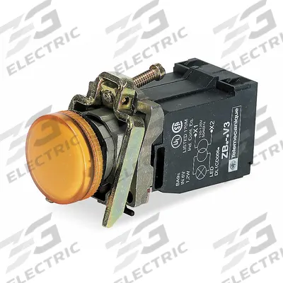 SCHNEIDER Pilot Light: 22 mm Panel Mounting Size, Orange, Incandescent - Incandescent Pilot-Lights