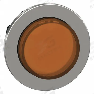 SCHNEIDER Extended Push Button: 30 mm Mounting Size, Metallic - Illuminated Extended-Length Push-Button Operators