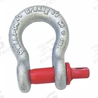 CROSBY Anchor Shackle: Anchor Shackle, 2,000 lb Working Load Limit, 1 1/16 in Compatible Sling Wd (MPN 1018419). Key specifications — Body Color: Silver; Brand: CROSBY.