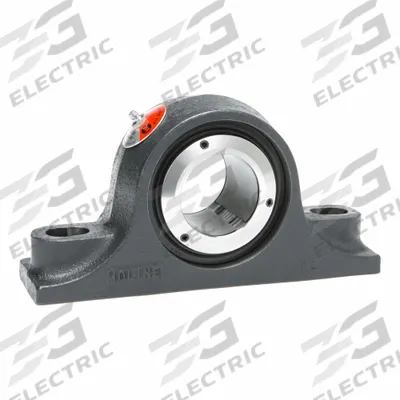 MOLINE BEARING Pillow Block Bearing: 2 7/16 in Bore, Spherical E Roller Bearing, Cast Iron - Expansion Pillow Block Spherical Roller Bearings