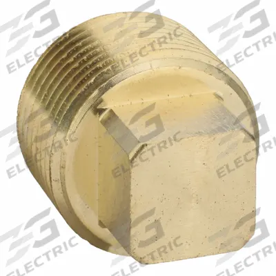 PARKER Plug: Plug, 3/4 in, NPT Threaded, 1,000 psi, 1 1/8 in Lg - Threaded High-Pressure Pipe Fittings