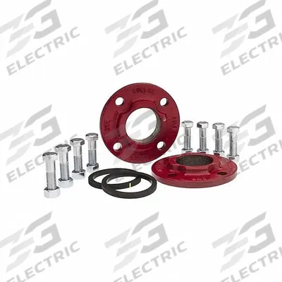 ARMSTRONG Flange Kits: 2 in, 805210-111K, 2 in FNPT, Flange - Standard Flanges