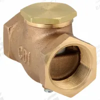 CONTROL DEVICES Check Valve: Air, Brass, 1 1/2 in NPT, 1 1/2 in (F)NPT, 250 psi Max. Pressure (MPN CB15). Key specifications — attr291949: 1-1/2 in NPT; attr291950: 1-1/2 in (F)NPT; attr291957: Brass; attr294749: CONTROL DEVICES.