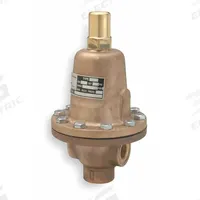 CASH VALVE Adjustable Back Pressure Valve: FNPT x FNPT, 3/4 in x 3/4 in, Cast Iron, 40°F to 450°F (MPN FR-FDWSCFMES02-D4-0065). Key specifications — Brand: CASH VALVE.