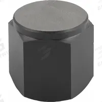 KIPP Tapped Positioning Foot w/Flat Face: Internal Threads, Flat, M12 Thread Size, 20 mm Thread Lg (MPN K0298.430). Key specifications — Brand: KIPP.