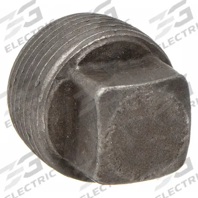 ANVIL Plug: Solid Square Drive Plug, Steel, 3/4 in, NPT Threaded - Threaded Extreme-Pressure Pipe Fittings