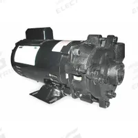 Centrifugal Pump: 1 1/2 hp, 115/230V AC, 67 ft Max Head, 1 1/2 in , 1 1/4 in Intake and Disch (MPN 2ZWP7). Key specifications — Brand: DAYTON; Motor Enclosure Type: ODP.