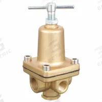 APPROVED VENDOR Pressure Regulator: FNPT x FNPT, 1/2 in Pipe Size, Brass, 50 psi to 175 psi (MPN 30PV13). Key specifications — Brand: APPROVED VENDOR.