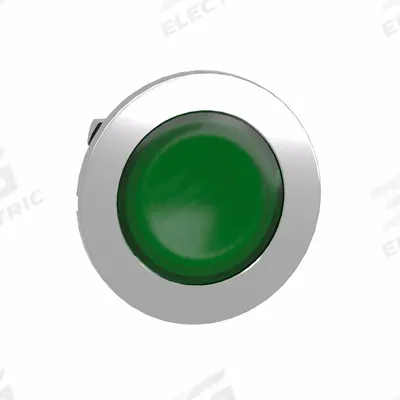 SCHNEIDER Flush Push Button: Green, 30 mm Mounting Size, Metallic - Illuminated Flush-Mount Push-Button Operators