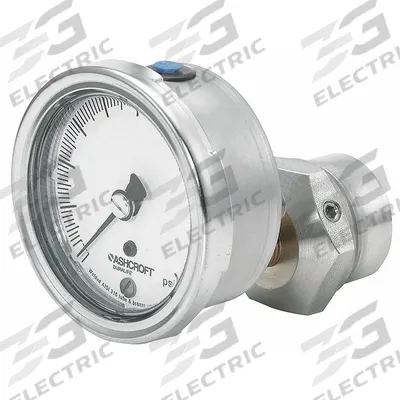 ASHCROFT Pressure Gauge with Diaphragm Seal: 0 psi to 30 psi, 1009/310-315, 2 1/2 in Dial - Dial Pressure Gauges with 316 SS Female-Threaded Mini-Seal