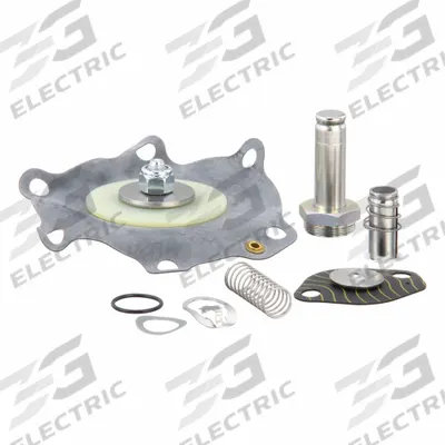 ASCO Valve Rebuild Kit (MPN 316297) - Repair Kits for Solenoid Valves