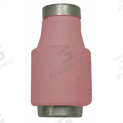 BUSSMANN IEC Fuse: Time Delay, 2 A, 500 V AC - IEC Type D Fuses
