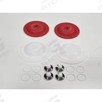 FINISH THOMPSON Fluid End Repair Kit: Fluid End Repair Kit, FW05S-2TST, 0.5 in For Pump Size, PTFE. Key specifications — Manufacturer Part Number: FW05S-2TST; Diaphragm Material: PTFE/Santoprene.