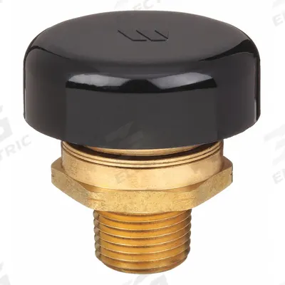 Watts Vacuum Relief Valve: Water Heaters/Tanks, Brass, 1/2 in Inlet Connection Size - Vacuum Release Valves
