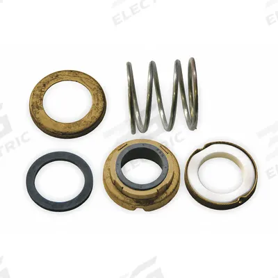 BELL & GOSSETT Seal Kit: Mfr Part # 186499LF - Seal Kits