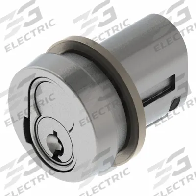 DELTA LOCK Plunger Lock: 1 5/8 in Lg, 1 3/8 in Wd - Locks for Sliding Doors