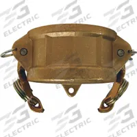Dust Cap: 2 1/2 in Coupling Size, 150 psi Max. Working Pressure @ 70 F, 3 9/32 in Overall Lg (MPN G250-DC-BR). Key specifications — Gasket Material: Nitrile; Brand: DIXON VALVE & COUPLING.