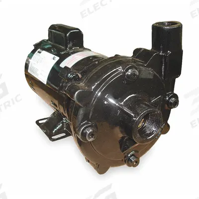 Dayton Centrifugal Pump: 3/4 hp, 115/230V AC, 98 ft Max Head, 1 1/4 in, 1 in Intake and Disch - 1/4 to 3/4 HP Straight Centrifugal Pumps