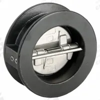 KECKLEY Check Valve: Double Disc, Inline Valve Body, 4 in Pipe Size, Wafer, Cast Iron, Wafer, Wafer (MPN DD1F-CI-34136-400). Key specifications — Brand: KECKLEY.
