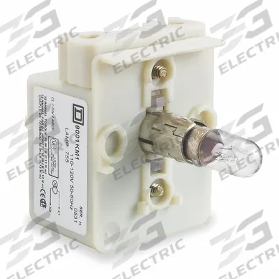 SCHNEIDER Lamp Module: 30 mm Size, Clear, Incandescent, 28 V AC/DC Rating - Lamp Modules